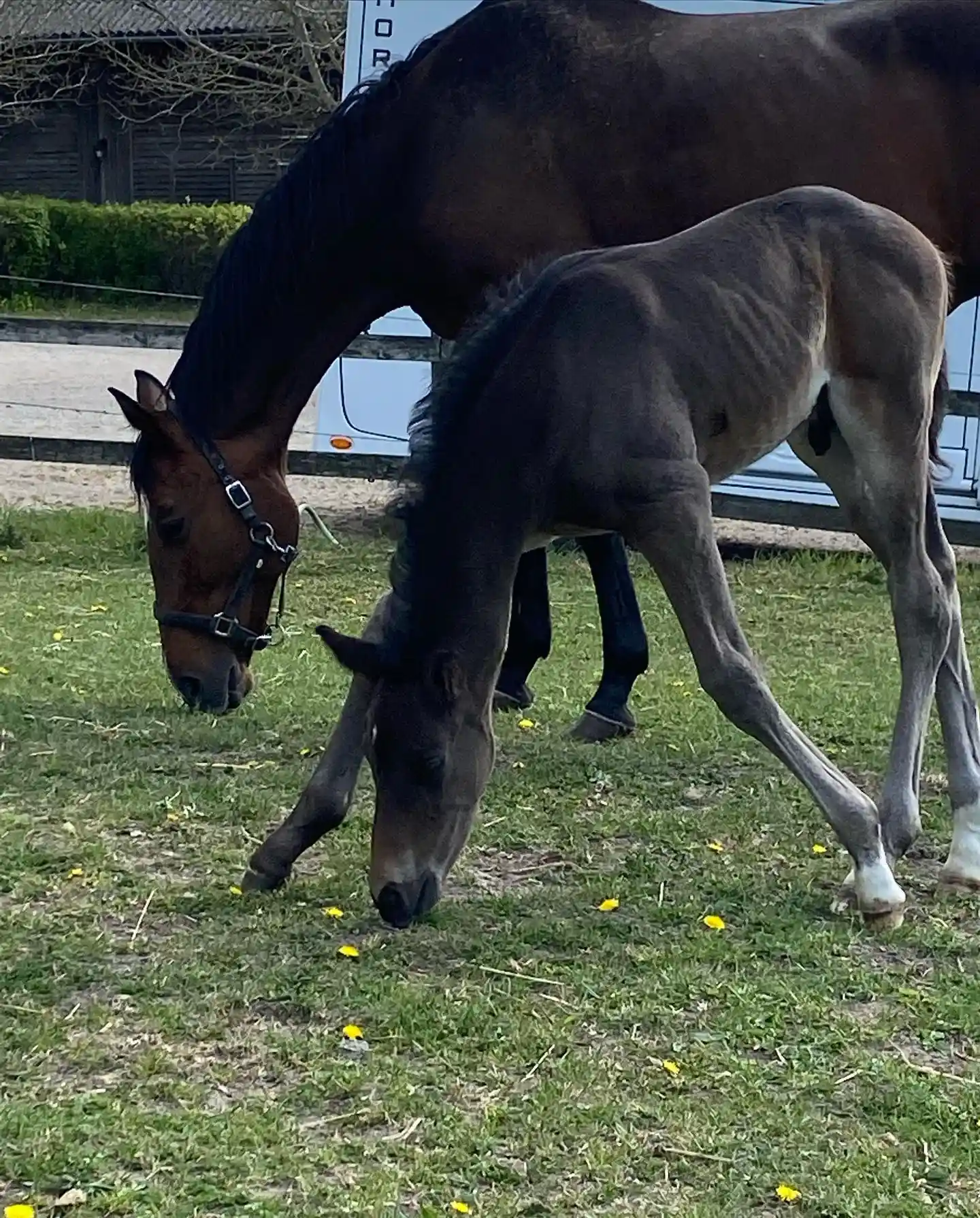 279873924_5190452081011997_7238983265033838397_n