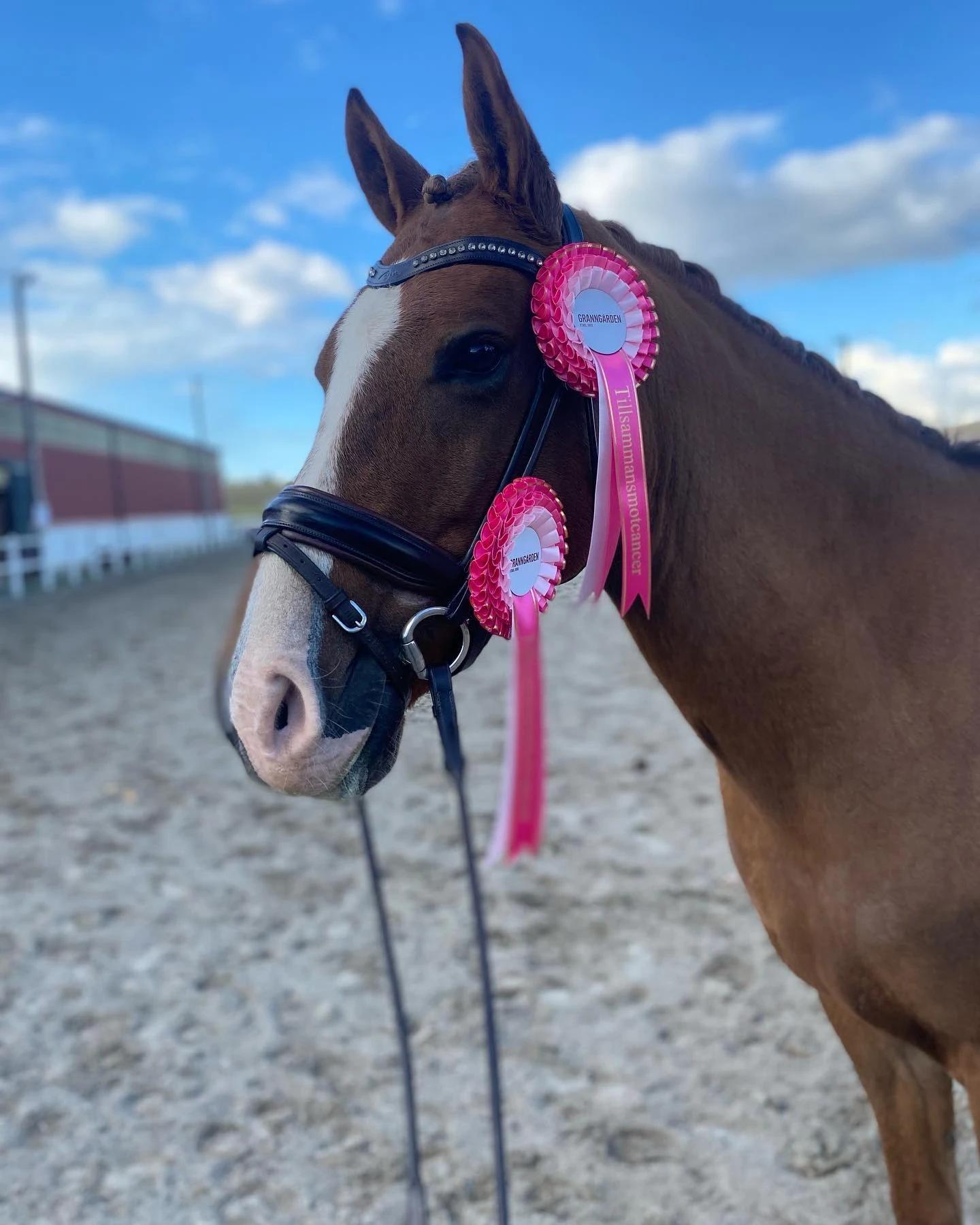 311200586_821472535789548_849490666630368337_n