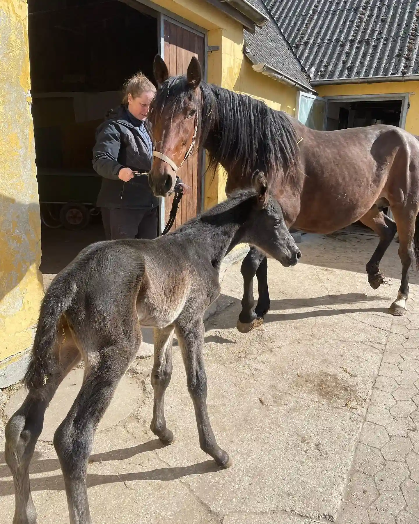 339617211_723574809500915_3754230220600705428_n